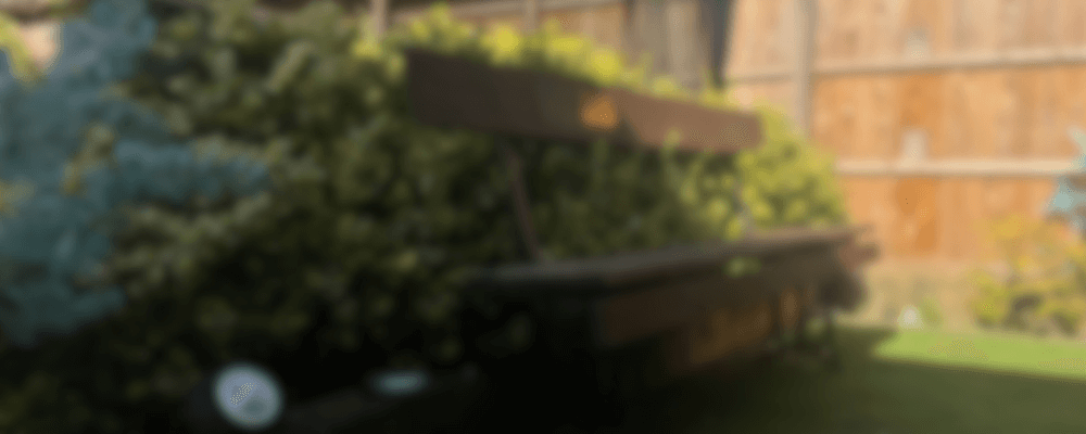 Blurred photo of a Garden - owned by RD