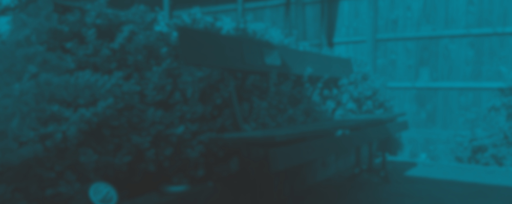 Blue Cover Photo - Restall Digital